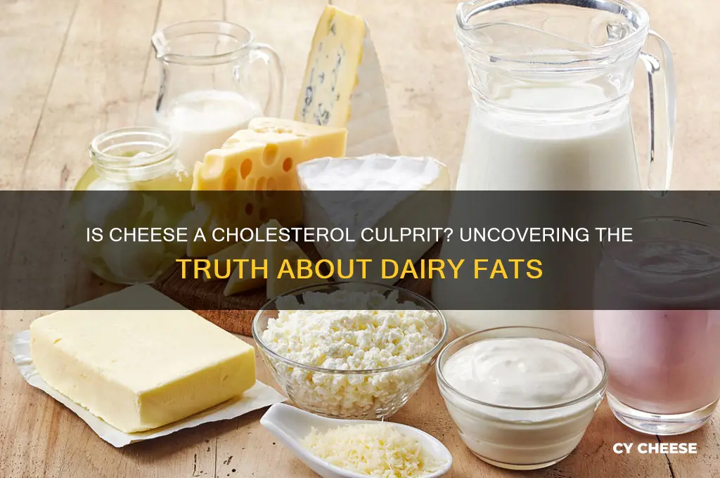 are cheese high in cholesterol