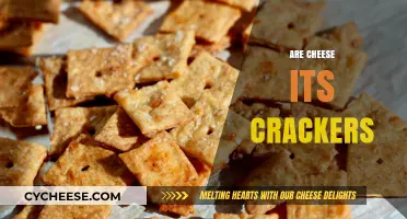Cheese Its Crackers Debate: Unraveling the Snack's True Identity