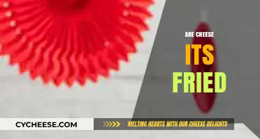 Are Cheese Its Fried? Unraveling the Crunchy Snack Mystery