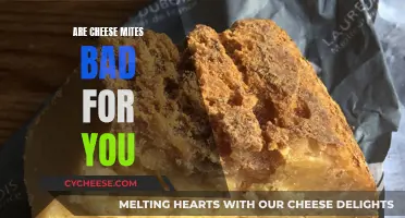 Cheese Mites: Are They Harmful to Your Health?