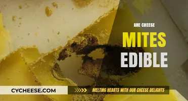 Can You Eat Cheese Mites? Uncovering the Edibility of These Tiny Creatures