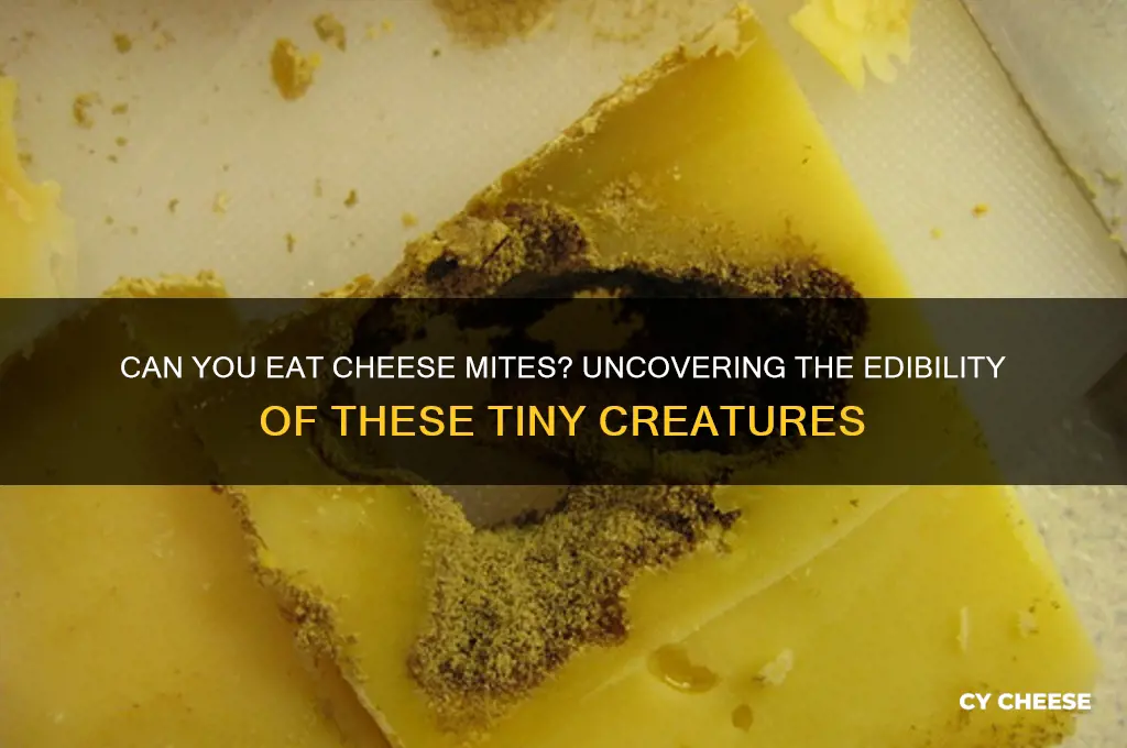 are cheese mites edible