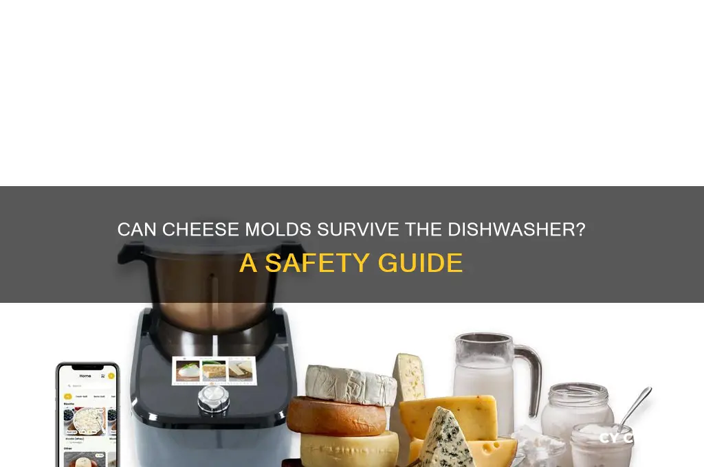 are cheese molds dishwasher safe