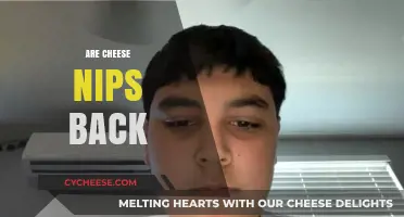 Are Cheese Nips Back? The Return of a Snack Favorite