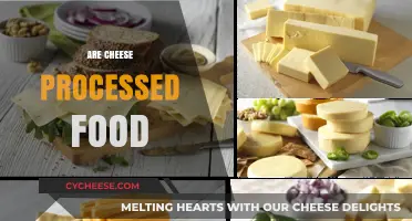 Is Cheese a Processed Food? Uncovering the Truth Behind Dairy