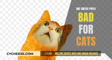 Cheese Puffs: A Cat Owner's Concern?
