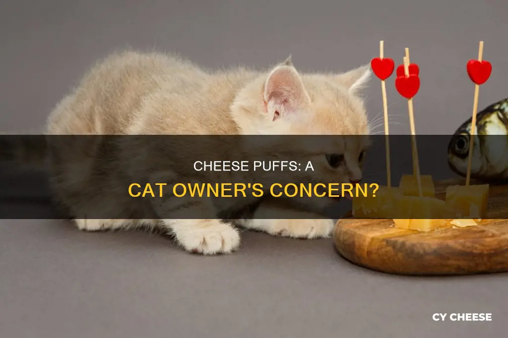 are cheese puffs bad for cats