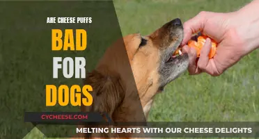 Cheese Puffs: A Dog Owner's Guide to This Snack