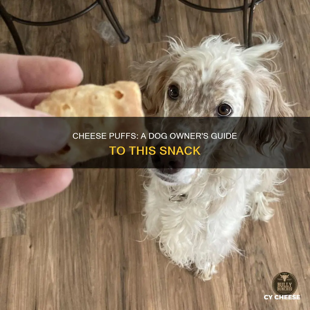 are cheese puffs bad for dogs