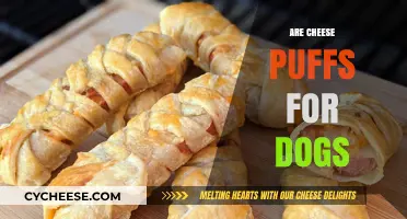 Can Dogs Eat Cheese Puffs? A Vet-Approved Snack Guide