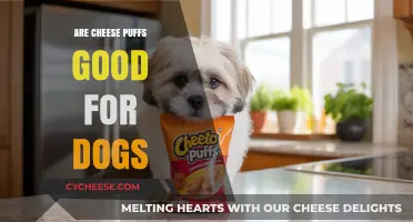 Can Dogs Eat Cheese Puffs? A Vet's Guide to Snack Safety