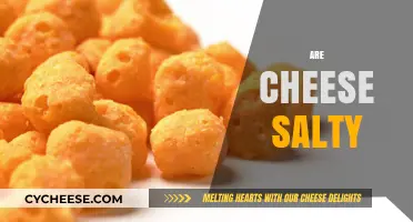 Is Cheese Salty? Exploring the Salt Content in Your Favorite Dairy