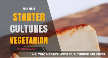 Are Cheese Starter Cultures Vegetarian? Unraveling the Dairy Dilemma