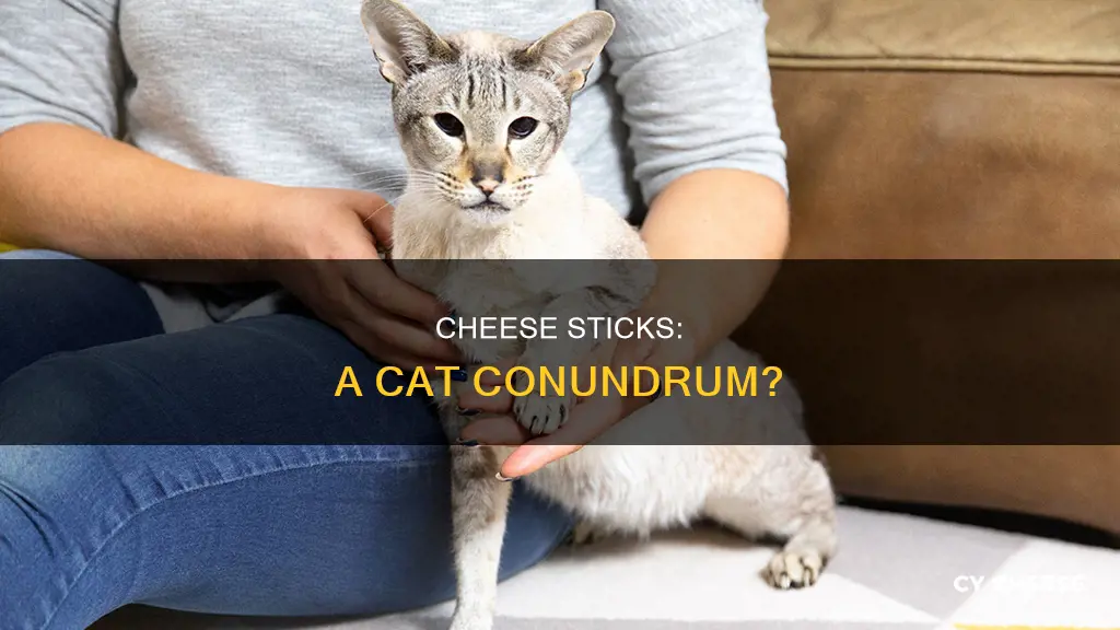 are cheese sticks bad for cats