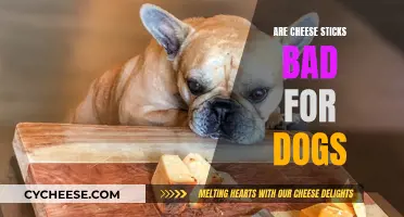 Cheese Sticks: Safe or Not for Dogs?