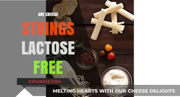 Cheese Strings: Lactose-Free or Not?