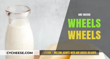 Are Cheese Wheels Actually Wheels? Unraveling the Cheesy Truth