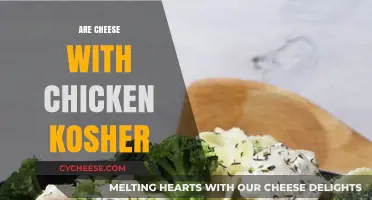 Is Cheese with Chicken Kosher? Exploring Jewish Dietary Laws