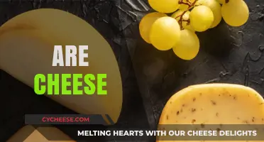 Exploring the Truth: Are Cheese Varieties Healthy or Unhealthy?