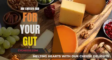 Cheese and Gut Health: Friends or Foes?