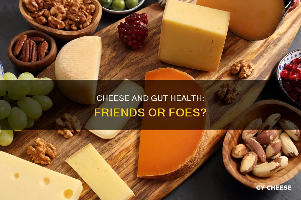 are cheeses bad for your gut