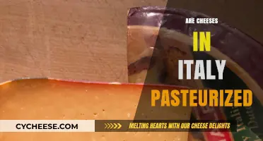 Are Italian Cheeses Pasteurized? Exploring Italy's Cheese Production Practices