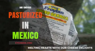 Is Mexican Cheese Pasteurized? Exploring Dairy Practices in Mexico
