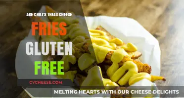 Gluten-Free Texas Cheese Fries at Chili's: Safe or Not?
