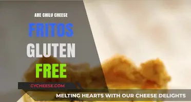 Gluten-Free Fritos: Are Chili Cheese Flavors Safe?
