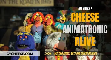 Chuck E. Cheese Animatronics: Alive or Just Complex Robots?