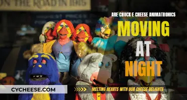 Chuck E. Cheese Animatronics: Moving After Hours?