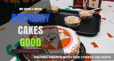 Are Chuck E. Cheese Birthday Cakes Worth the Hype?