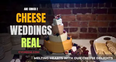 Chuck E. Cheese Weddings: A Whimsical Reality