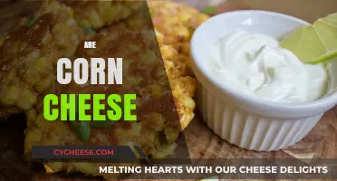 Exploring the Delicious Combo: Are Corn and Cheese a Perfect Match?