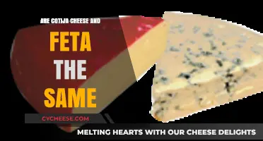 Cotija Cheese and Feta: What's the Difference?