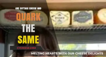 Cottage Cheese vs. Quark: Unraveling the Dairy Differences