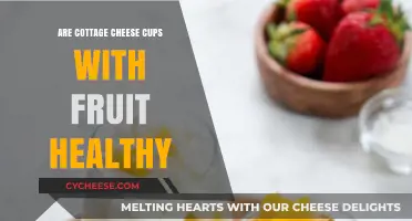 Cottage Cheese Cups with Fruit: A Healthy Snack Option?