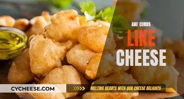 Curds and Cheese: What's the Difference?