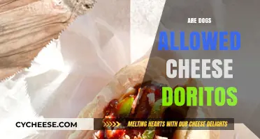 Can Dogs Eat Cheese Doritos? A Snack Safety Guide