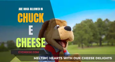 Can Dogs Enter Chuck E. Cheese's?