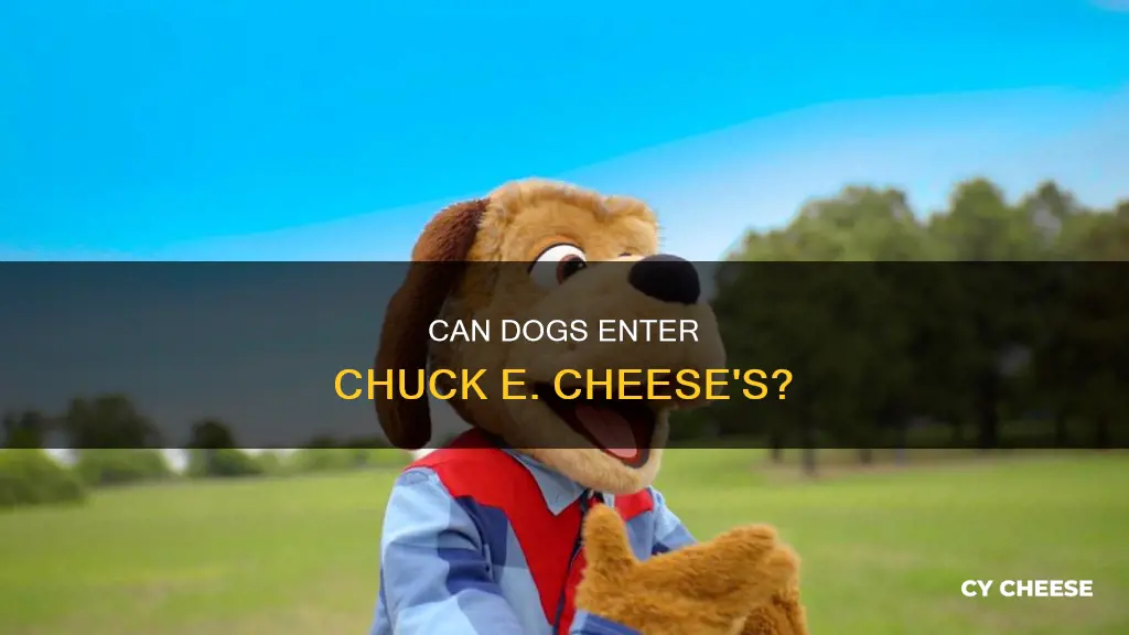 are dogs allowed in chuck e cheese