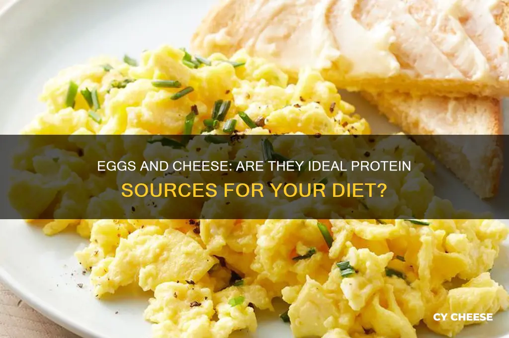 are eggs and cheese a good source of protein