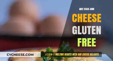 Gluten-Free Diet: Are Eggs and Cheese Safe?