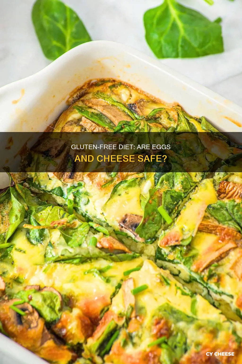 are eggs and cheese gluten free