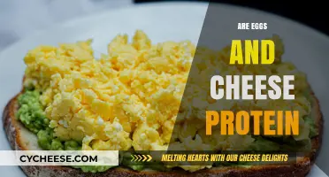 Eggs and Cheese: Unlocking Their Protein Power for a Healthy Diet