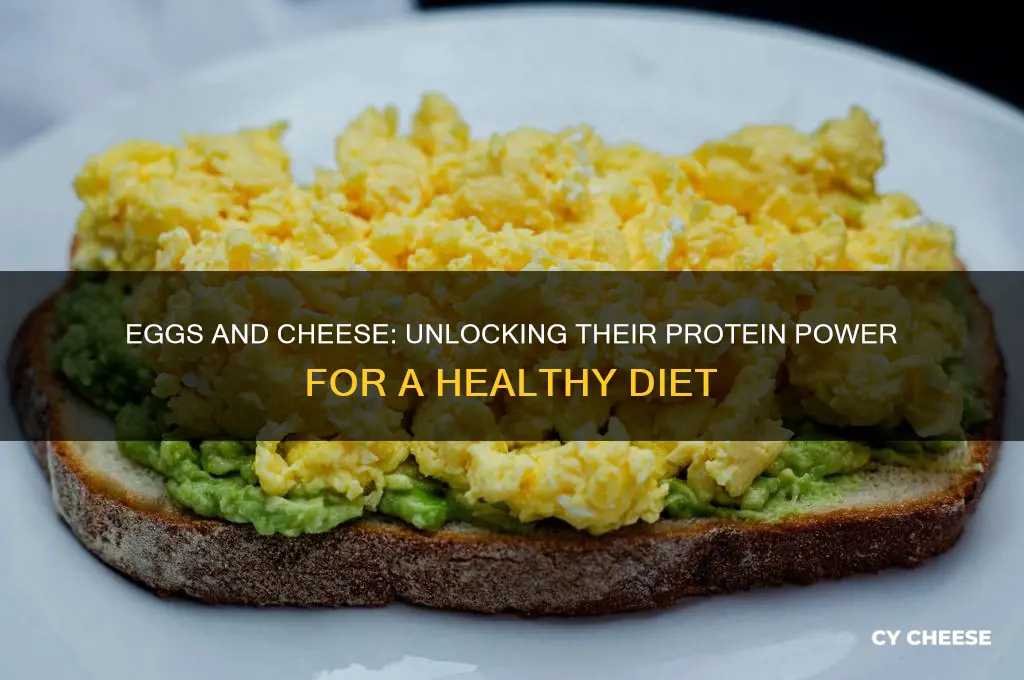 are eggs and cheese protein