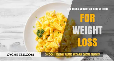 Eggs and Cottage Cheese: Effective Weight Loss Foods or Myth?