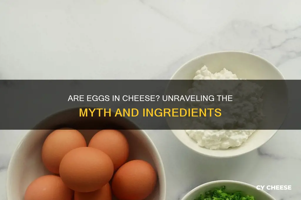 are eggs in cheese