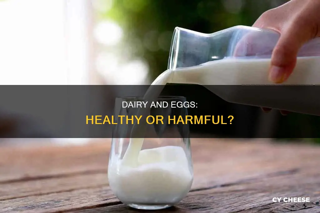 are eggs milk and cheese bad for you