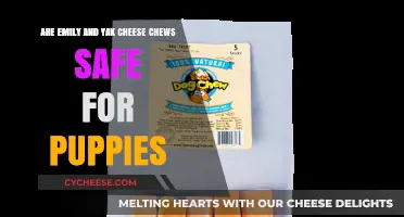 Emily and Yak Cheese Chews: Are They Puppy-Safe Treats?